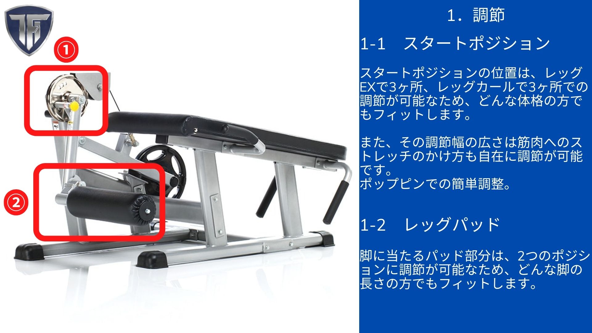 タフスタッフ プローンレッグカール&レッグエクステンション